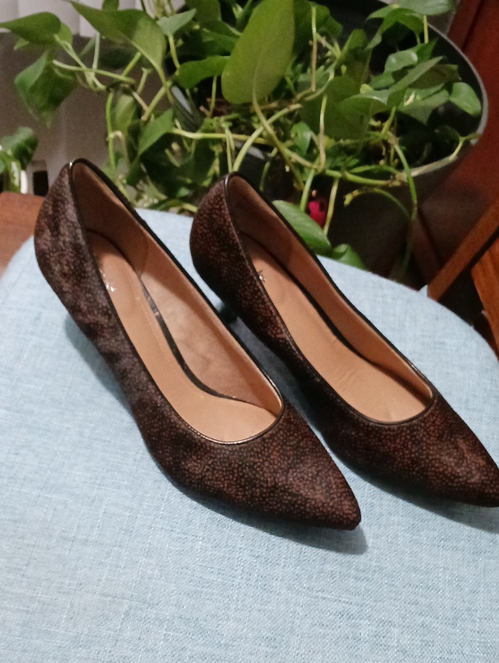 NEW! Clarks Artisan- Classic Pointed Toe "Sage Copper" Women's Pumps
